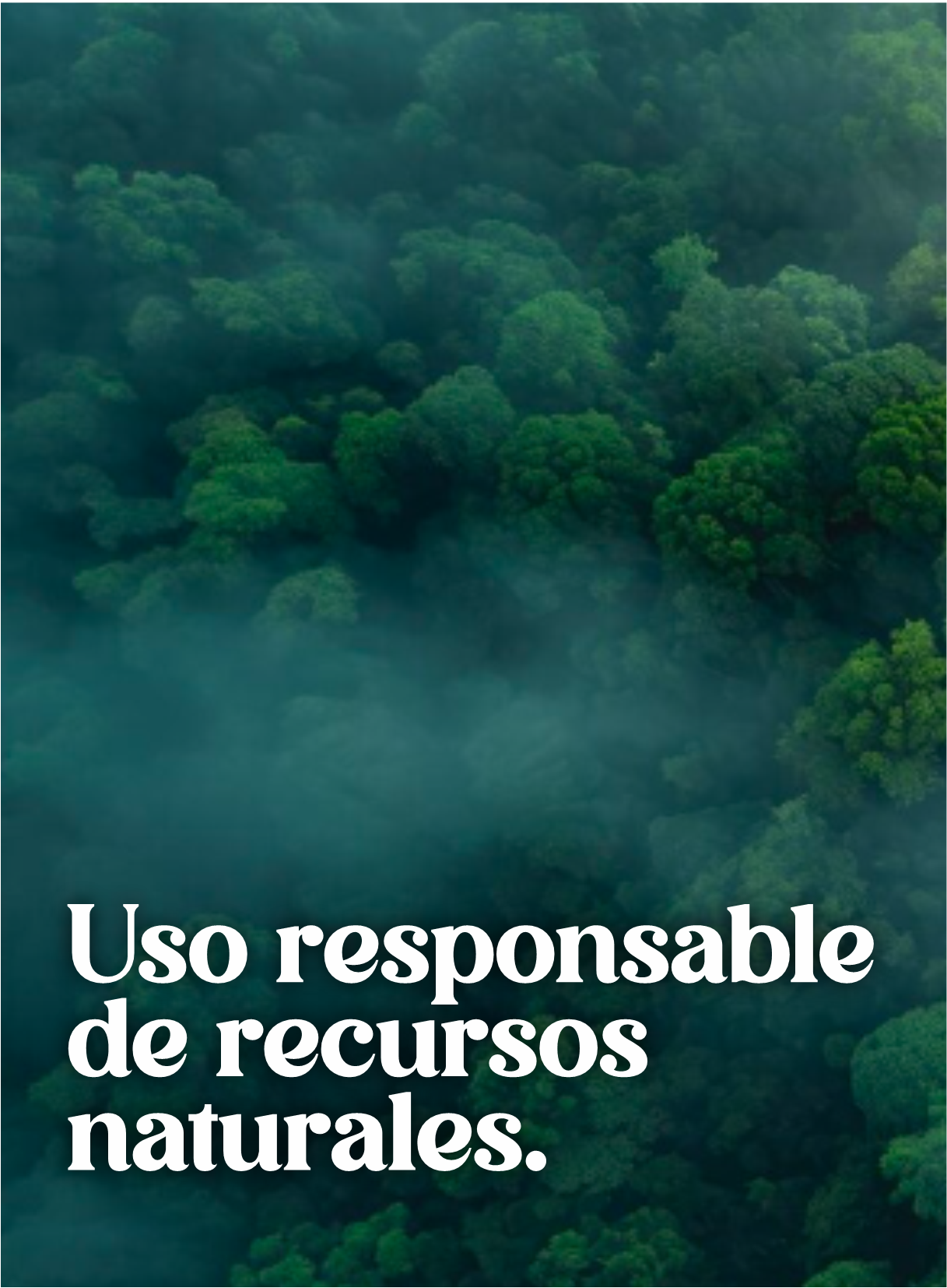 IMAGEN1 IMAGEN1