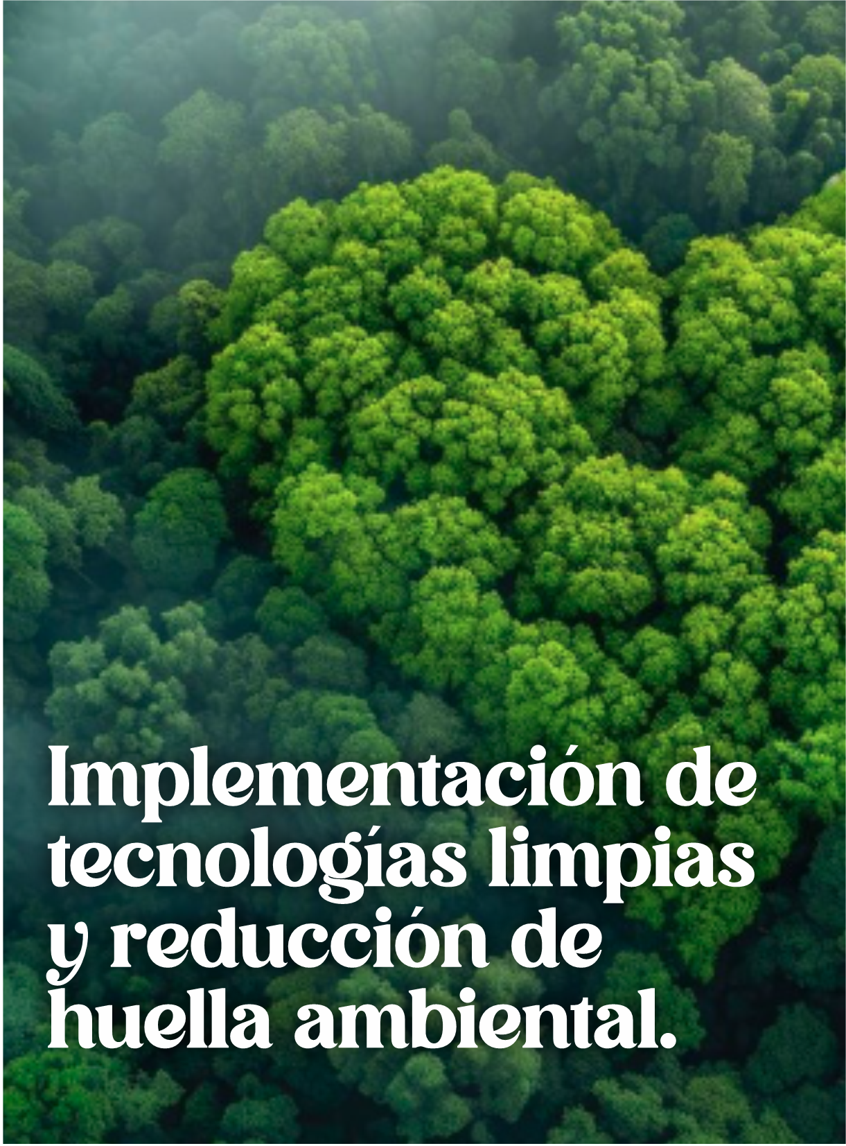 IMAGEN2 IMAGEN2