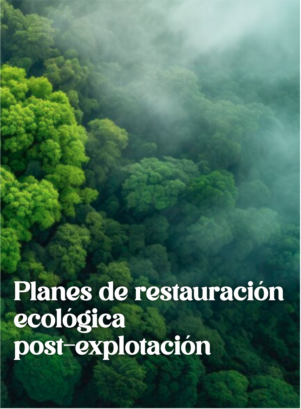 IMAGEN3 IMAGEN3