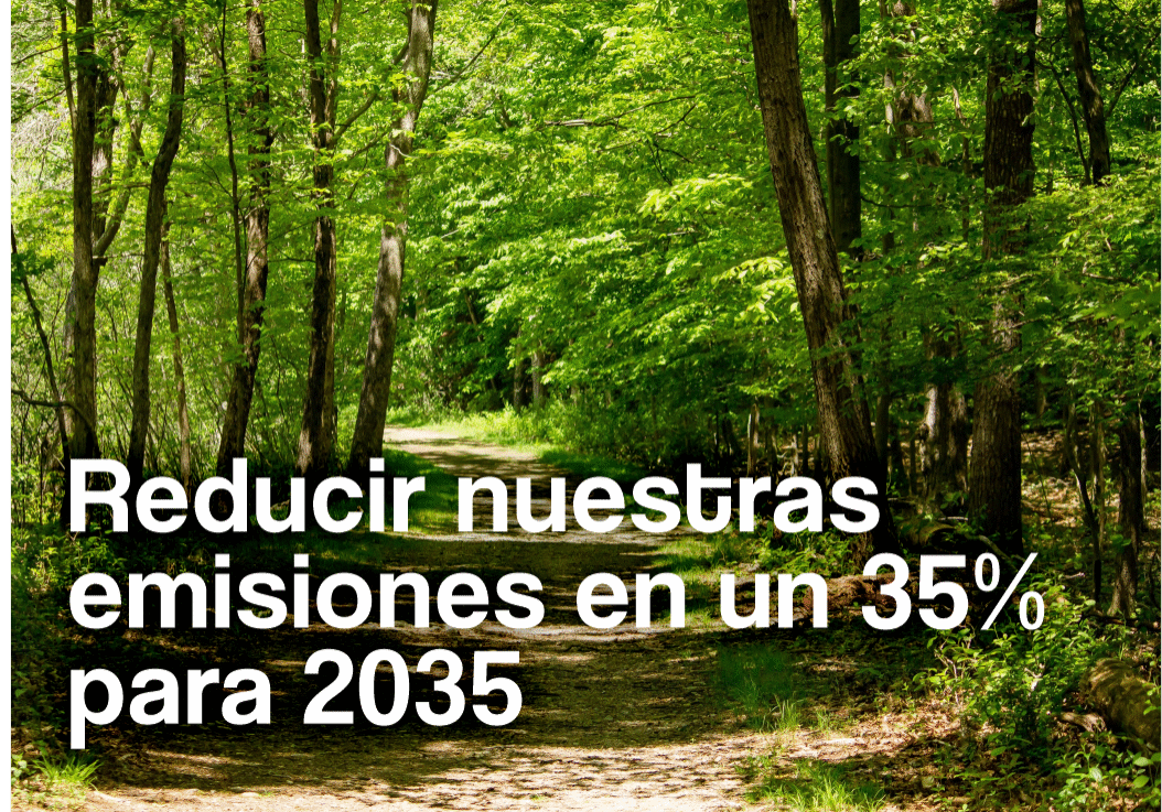 bosque2